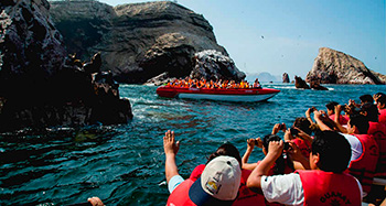 Ballestas Islands