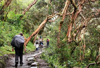 Inca Trail